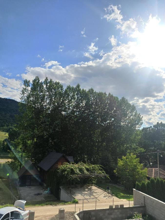 Apartment Drinski Biseri *